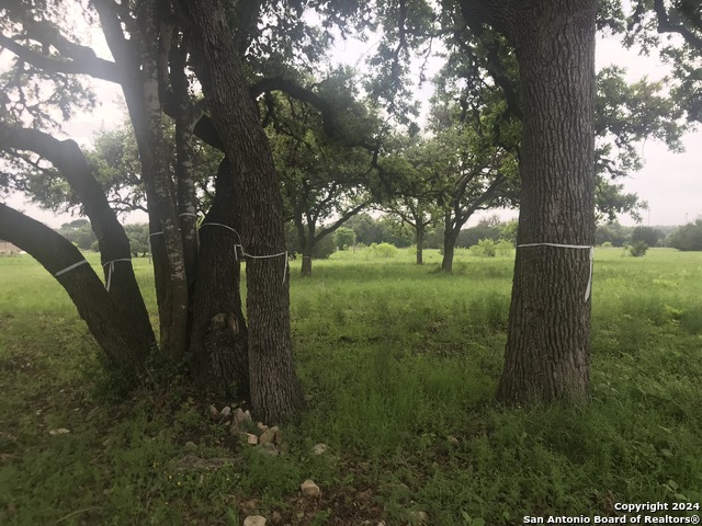 Image 2 of 4 For 519 Bandera Rd E