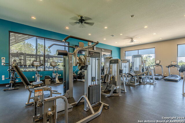 Image 36 of 39 For 2465 Kookaburra