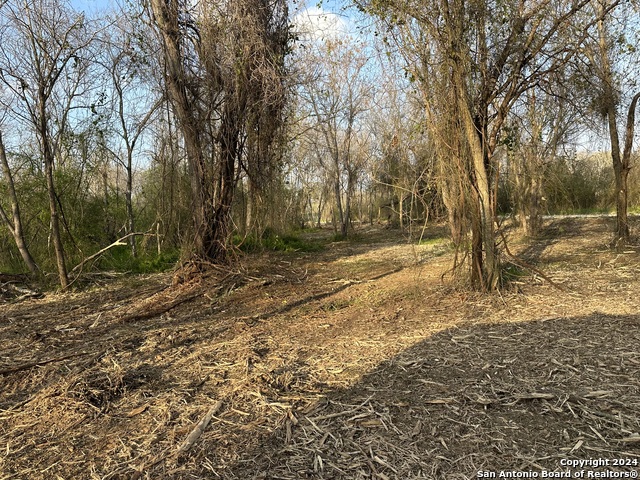 Image 2 of 9 For 126 Tejeda Ln S