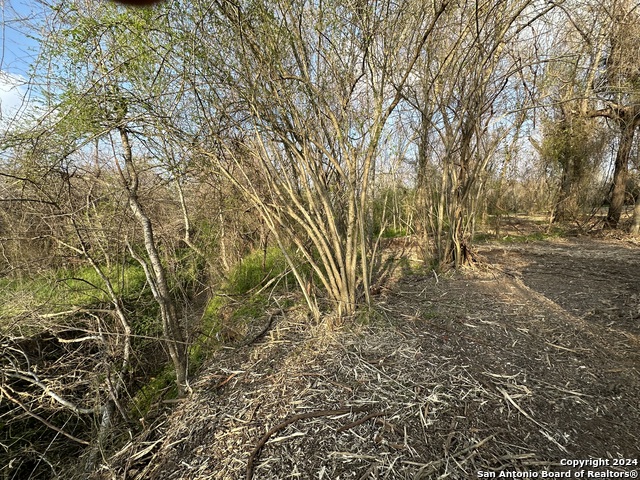 Image 3 of 9 For 126 Tejeda Ln S