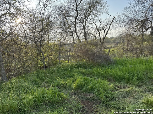 Image 6 of 9 For 126 Tejeda Ln S