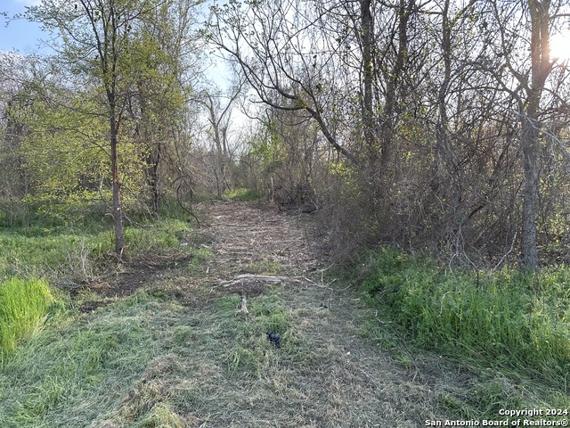 Image 7 of 9 For 126 Tejeda Ln S