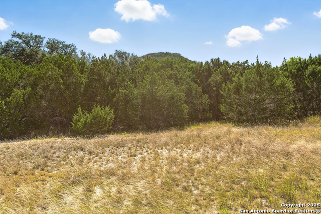 Listing photo id 3 for 672 Lakepark Dr