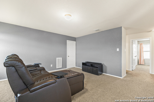 Listing photo id 19 for 217 Stag Way