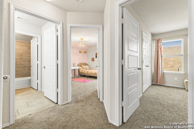 Listing photo id 22 for 217 Stag Way