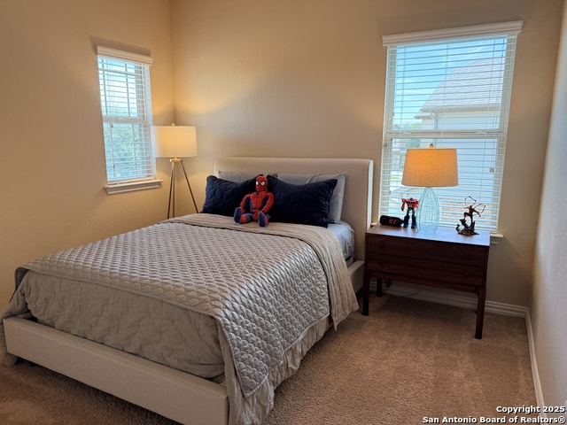 Image 39 of 54 For 10263 Shadowy Dusk