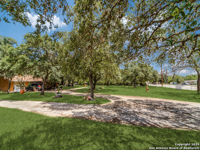 Image 10 of 13 For 8245 Eckhert