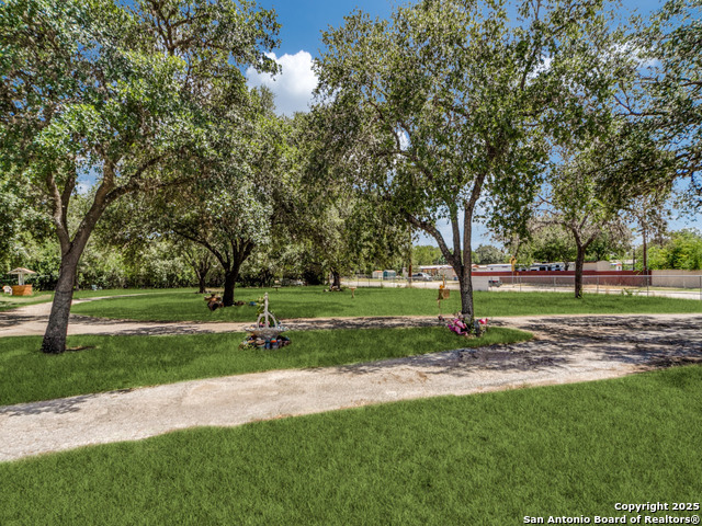 Image 11 of 13 For 8245 Eckhert