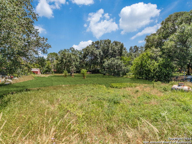 Image 13 of 13 For 8245 Eckhert