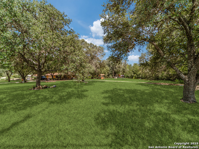 Image 6 of 13 For 8245 Eckhert