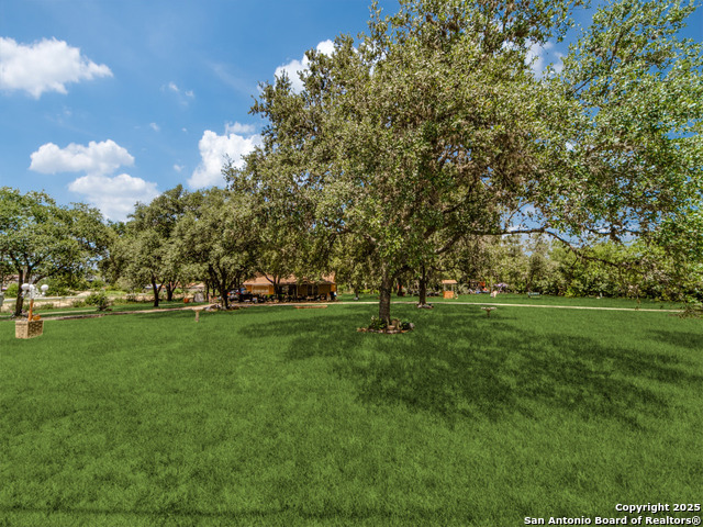 Image 7 of 13 For 8245 Eckhert