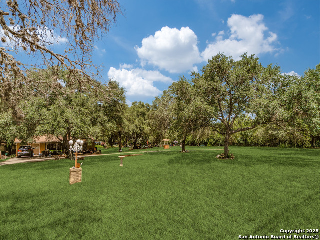 Image 8 of 13 For 8245 Eckhert