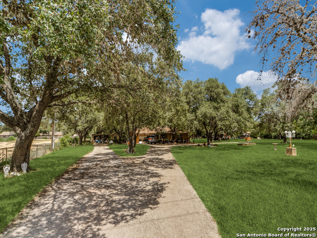 Image 9 of 13 For 8245 Eckhert