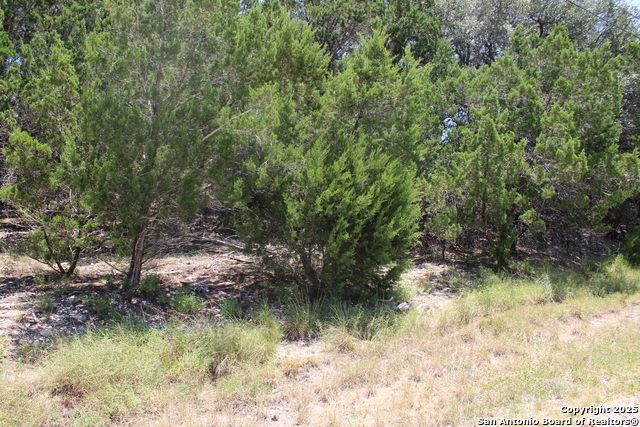 Details for 1105 Rotherman, Canyon Lake, TX 78133