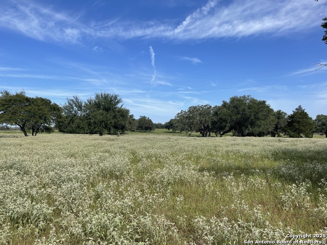 Details for 4011 County Road 296, Gonzales, TX 78629