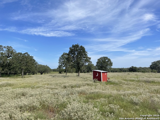 Listing photo id 9 for 4011 County Road 296