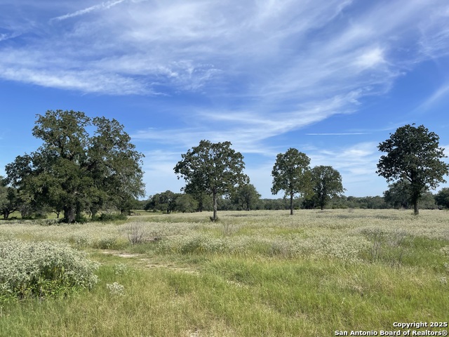 Listing photo id 0 for 4011 County Road 296