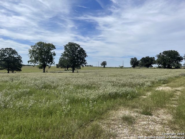 Listing photo id 1 for 4011 County Road 296