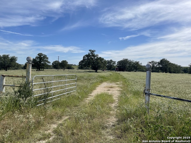 Listing photo id 2 for 4011 County Road 296