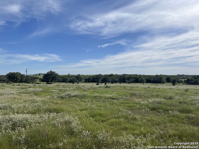 Listing photo id 3 for 4011 County Road 296