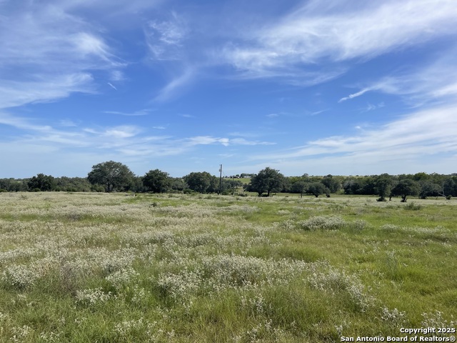 Listing photo id 4 for 4011 County Road 296