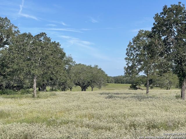 Listing photo id 5 for 4011 County Road 296