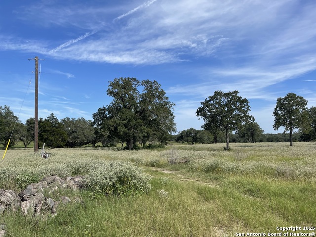 Listing photo id 6 for 4011 County Road 296