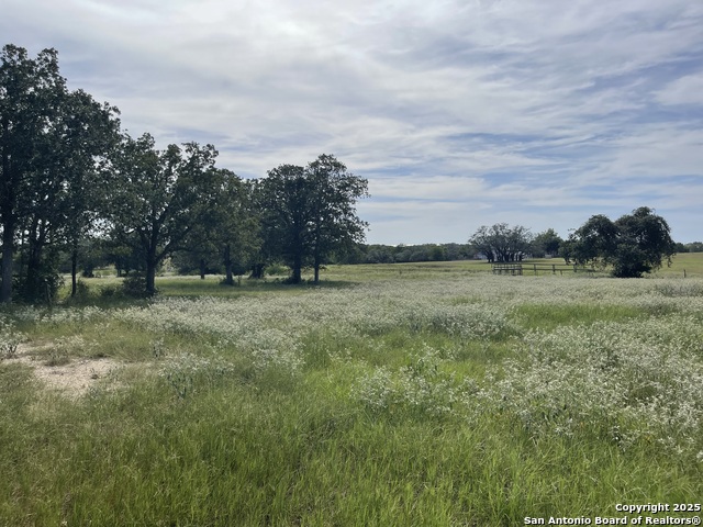 Listing photo id 7 for 4011 County Road 296