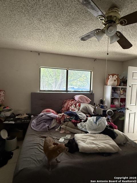 Image 25 of 50 For 9147 Autumn Storm