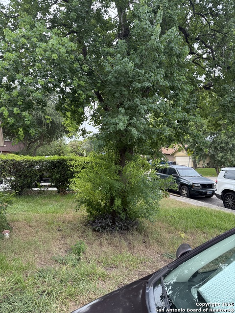 Image 3 of 50 For 9147 Autumn Storm