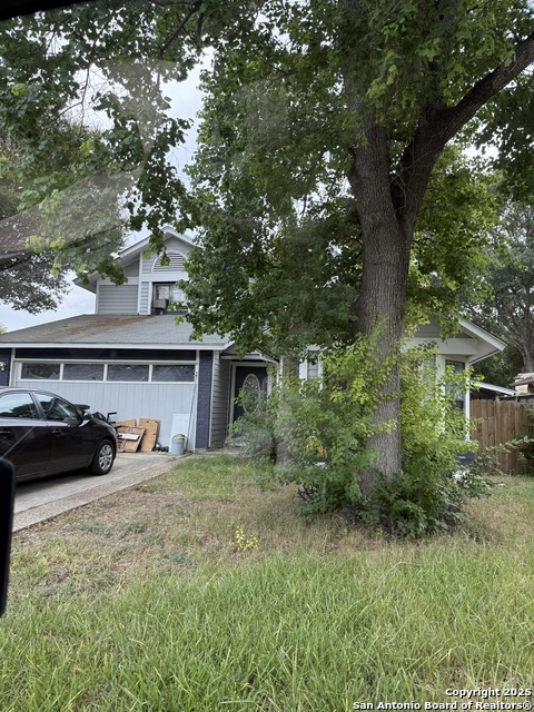 Image 4 of 50 For 9147 Autumn Storm