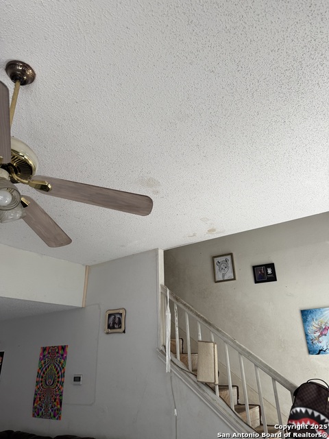 Image 44 of 50 For 9147 Autumn Storm