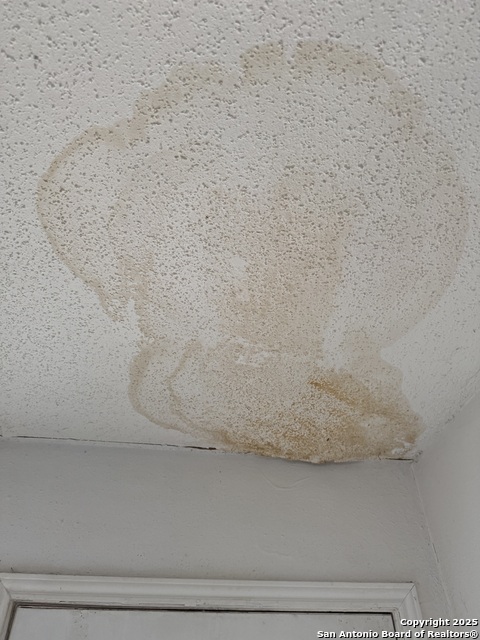 Image 6 of 50 For 9147 Autumn Storm