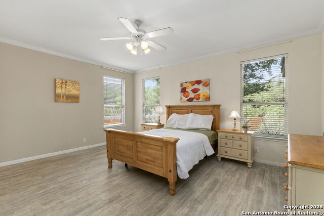 Image 18 of 32 For 23003 Tornillo Drive