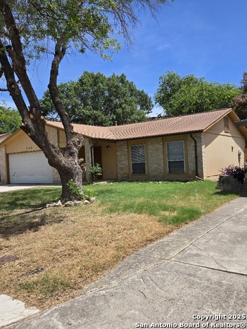 Image 3 of 28 For 7146 Spring Grove