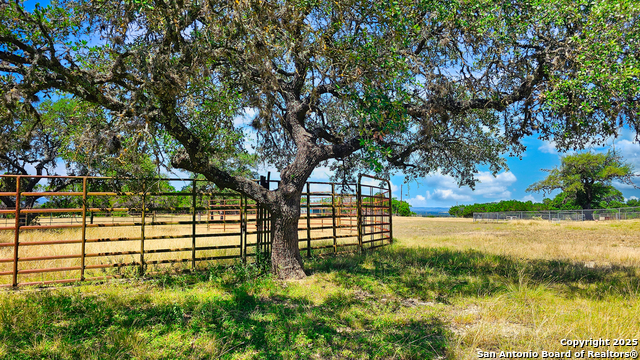 Image 6 of 32 For 954 Big Meadows