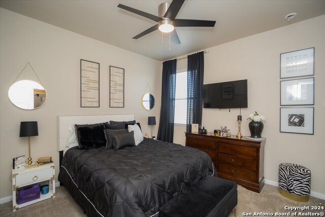 Listing photo id 29 for 12904 Liam Ct