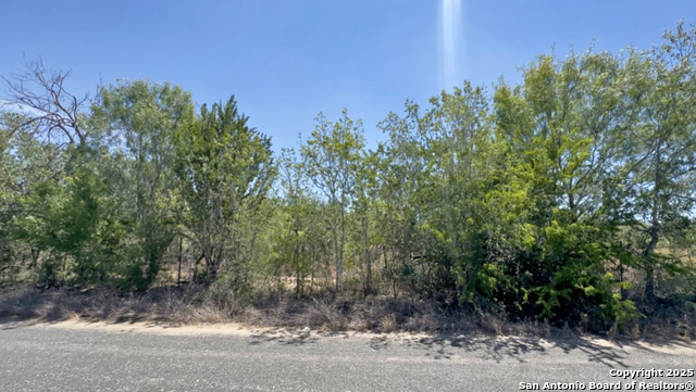 Details for P-9c Quesenberry Rd, Von Ormy, TX 78073
