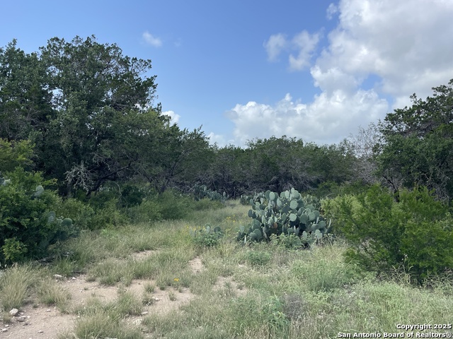 Listing photo id 18 for 233 County Road 340