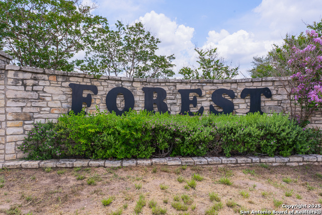 Listing photo id 1 for Lot 86 County Road 6864