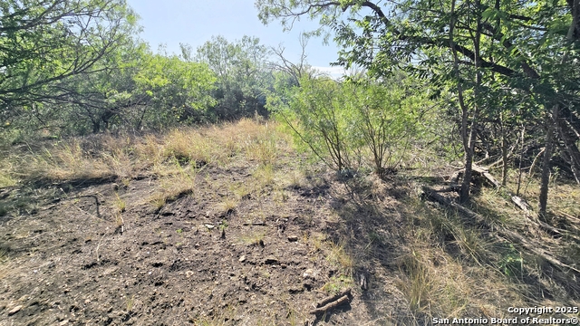 Image 10 of 19 For 3880 Ih 10  