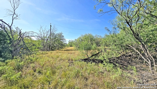 Image 12 of 19 For 3880 Ih 10  