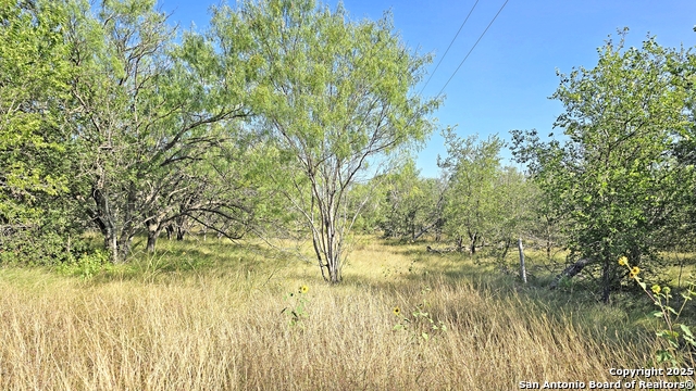 Image 5 of 19 For 3880 Ih 10  