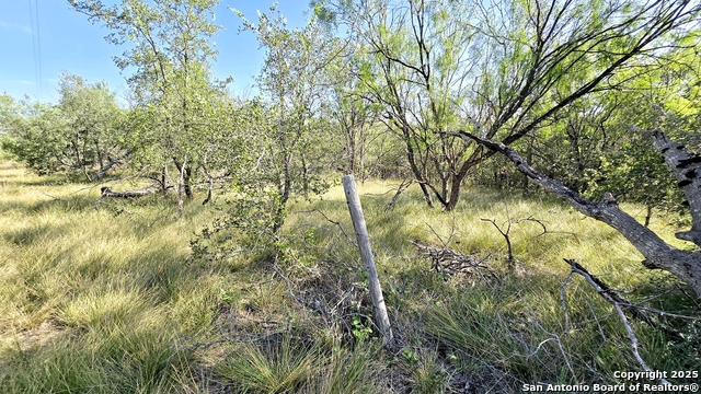 Image 9 of 19 For 3880 Ih 10  