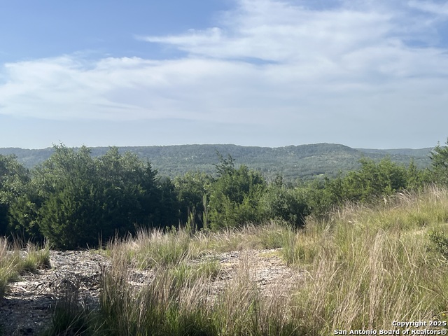 Details for 118 Coleman  , Boerne, TX 78006