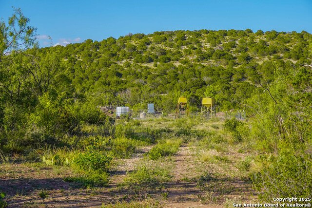 Listing photo id 35 for Tbd Mailtrail Rd