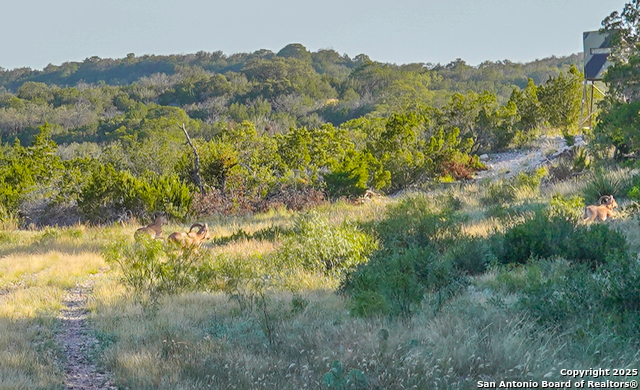 Listing photo id 37 for Tbd Mailtrail Rd