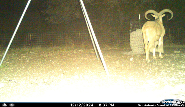 Listing photo id 49 for Tbd Mailtrail Rd