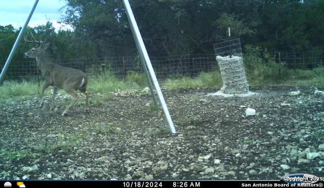 Listing photo id 50 for Tbd Mailtrail Rd