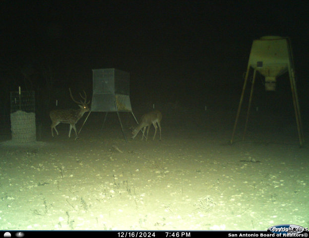 Listing photo id 53 for Tbd Mailtrail Rd